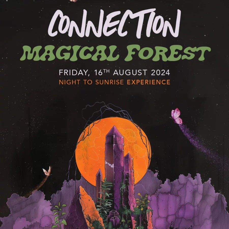 16.08 | Connection היער הקסום