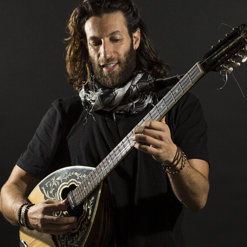 פטרה יונתן שרייבר Pettra